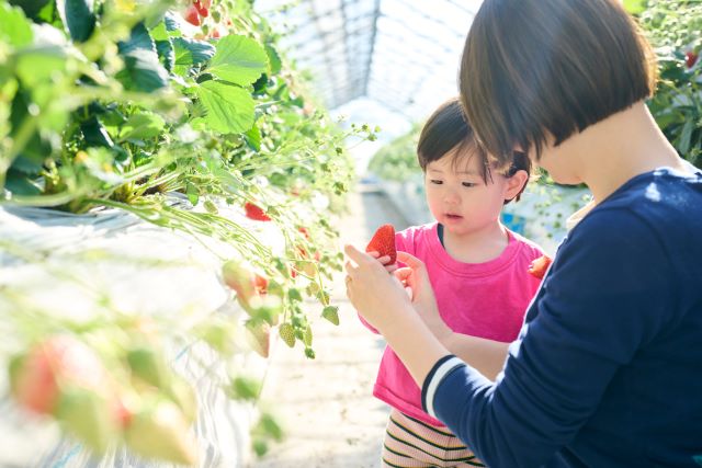四季を通じた本物の体験